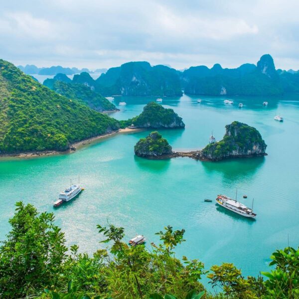 A view of some boats in the water.